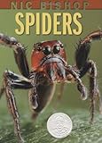 Nic Bishop Spiders