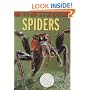 Nic Bishop Spiders (Sibert Honor Book)