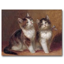 Kittens - Box Set of 12 Greeting Cards and Matching Patterned Envelopes