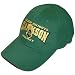 Clarkson Golden Knights Hockey Champion Stretch-Fit Cap