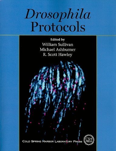 Drosophila Protocols by W Sullivan (2008-06-23)