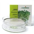 Germline - Germoir - Coupelle de germination