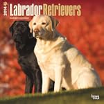 Labrador Retrievers 2014 Square 12x12
