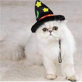 Cat Costume - Cat Halloween Witch Hat - One Size Fits All
