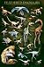 Feathered Dinos Poster (#160)