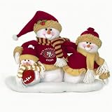 San Francisco 49ers Table Top Snow Family