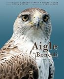 Aigle de Bonelli Méditerranéen Meconnu