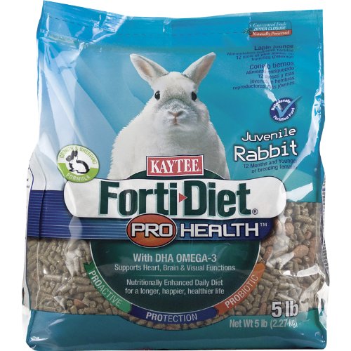 probiotic diet