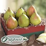 Organic D'Anjou Pears Fruit Gift