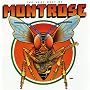 The Very Best Of Montrose