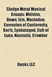 Sludge Metal Musical Groups: Melvins, Down, Isis, Mastodon, Corrosion of Conformity, Boris, Eyehategod, Cult of Luna, Neurosis, Crowbar-