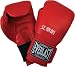 Everlast MMA Pro Leather Sparring Gloves