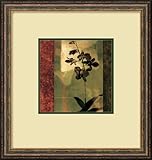 Mesmerized II Framed Art Print by Chris Donovan, Image size: 9.50