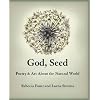 God, Seed