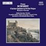 Clarinet Quintet in B Flat Major
