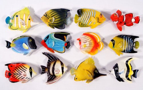 Wholesale Pack Handpainted Assorted Tropical 