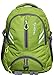 Attache Dazzling School Bag (Green & Grey) RS.999.00