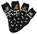 K. Bell Dogs Bone and Paw Print Socks (Yorkshire Terrier, Golden Reriever, Dachsund, Pug!)