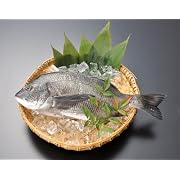 わたやのうまいもん市場♪　宮島大野瀬戸産　【瀬戸の黒鯛めし生茶漬け】　ねりごましょう油だれ　（冷凍）３ヶセット