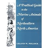 A Practical Guide to the Marine Animals of Northeastern North America