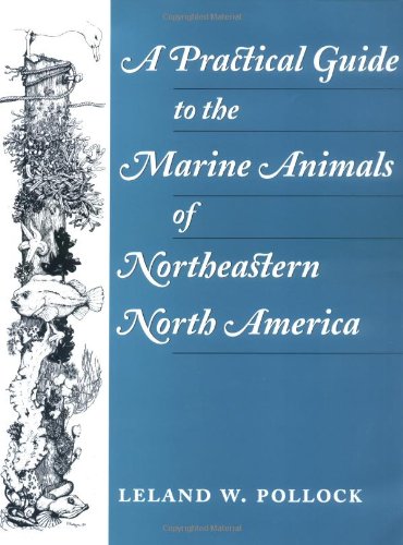 A Practical Guide to the Marine Animals of Northeastern North America