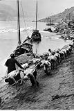 2 Rows of Chinese Trackers Plodding Along Bank of Yangtze River Towing a Junk Slowly Up River by Dmitri Kessel, 48x72