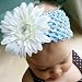 Baby Headband Blue With White Flower