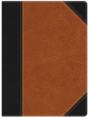 HCSB Study Bible, Black/Brown LeatherTouch