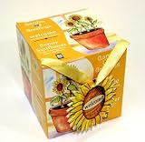 Welcome Sunny Sunflower Windowsill Garden and Gift Card