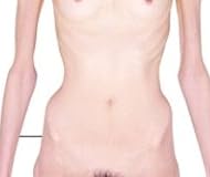 ���ܰ쥹�������ʥ���ʥΥ� [DVD][�������]