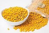 Yellow Chocolate Covered Sunflower Seeds (1 Pound Bag)