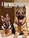 German Shepherds 2015 Engagement