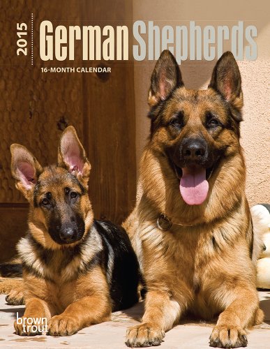 German Shepherds 2015 Engagement