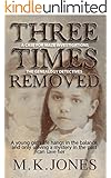 Three Times Removed (Maze Investigations - The Genealogy Detectives Book 1)