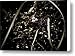 Sweet Alyssum Canvas Print / Canvas Art - Artist Chris Berry