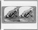American steam shovel in position to take a bite, Culebra Cut, Panama Canal Reprint (...