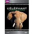 L'El�phant Tout savoir sur...