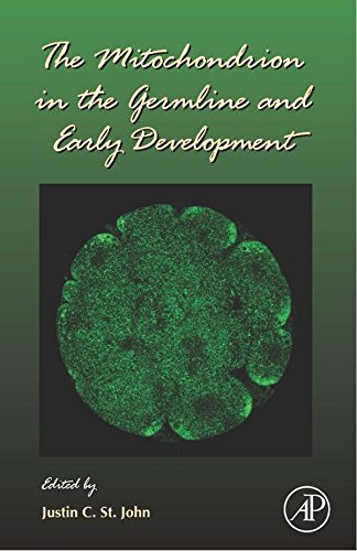 The Mitochondrion in the Germline and Early Development: 77 (Current Topics in Developmental Biology)