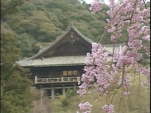 Cover image : 極める・日本の美と心 奈良の名刹 7 長谷寺・室生寺 [DVD]