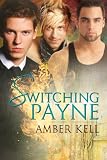 Produkt-Bild: Switching Payne