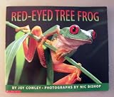 The Red-Eyed Tree Frog