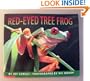 The Red-Eyed Tree Frog