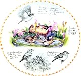 Click for more about Wedgwood Eric Robson Birdwatcher