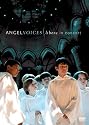 Libera - Angel Voices Live In Concert [DVD]