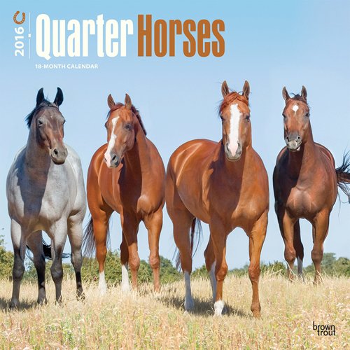 Quarter Horses 2016 Square 12x12