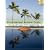 Professional Review Guide for the RHIA and RHIT Examinations, 2008 Edition (Professional Review Guide for the RHIA & RHIT)