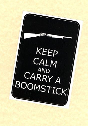 Carry a Boomstick Sticker