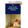 Das Leben ist kurz: Vita brevis