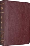 ESV Study Bible (Burgundy) image