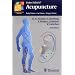 The Top 10 Most Popular Trigger Point Therapy Books